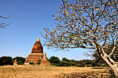 Bagan Myanmar. Stupa near the Dhammayangyi temple. 